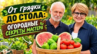 Как без особых усилий выращивать огородные культуры и получать хороший урожай? | Удачи на даче