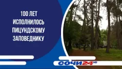 100 лет исполнилось Пицундскому заповеднику