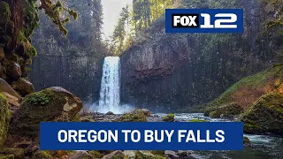 Oregon Parks approves $2M purchase of Abiqua Falls in Marion County