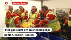 Hitteberoertes onder hardlopers