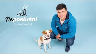Pomoc psíkovi, ktorý sa bojí, že ho rodina opustí | Neposlušní