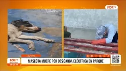 Trujillo: perrito fallece tras descarga eléctrica en parque