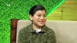 Veracruz Agropecuario - Hoteles para Insectos y Composta