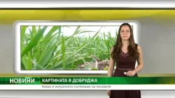 Какво е актуалното състояние на посевите