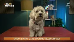 Di Buon Mattino (TV2000) - Moris Gasparri sul fenomeno delle Olimpiadi Invernali Milano-Cortina