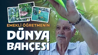 He Created a Global Garden with Seeds Collected from 50 Countries