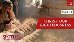 “The Big Reveal—Part One” - Spotless 12