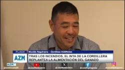 Tras los incendios, el INTA de la cordillera replantea la alimentación del ganado