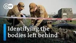 How volunteers try to identify corpses on Ukraine's battlefields | DW News