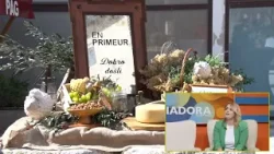 POMALO Martina Pernar Škunca 24.3.2026.