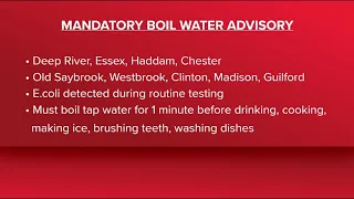 Connecticut Water Company confirms E. coli in Essex water sample