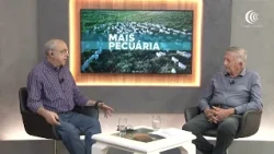 "China Beef" prices hit record highs in São Paulo, and agricultural product markets continue to e...