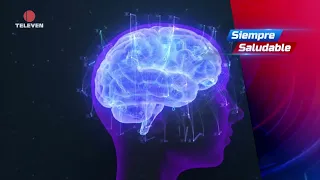 Always Healthy: Does silence provide benefits for brain health? –El Noticiero first broadcast