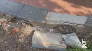 Falcone and Borsellino Park still gripped by neglect