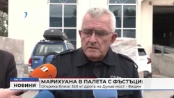 RM TV: Марихуана в палета с фъстъци: Откриха близо 350 кг дрога на Дунав мост - Видин