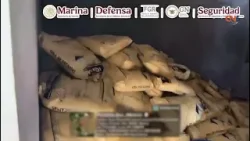 Autoridades federales desmantelan en Guerrero inmuebles usados para drogas sintéticas