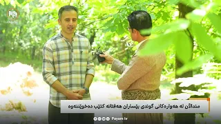 هەوار و هەورامانی: منداڵان لە هەوارەکانی گوندی بێساران هەفتانە کتێب دەخوێننەوە