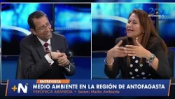 Interview with Verónica Araneda, Regional Ministerial Secretary of the Environment