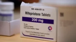 FDA won't ban nation's top abortion drug this year, court filings show