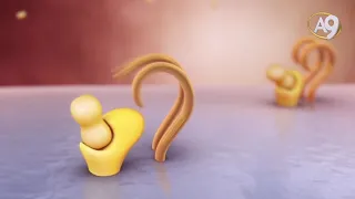 Kanı pıhtılaştıran mucize protein
