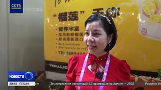 Nanning expo highlights: Free trade development, AI, and the new Pinglu canal