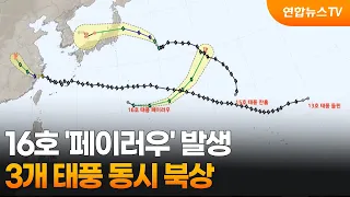 Typhoon No. 16 'Pulasan' Forms... 3 Typhoons Moving North Simultaneously / YonhapnewsTV