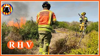 Un incendi a la Devesa del Saler obliga a evacuar vivendes