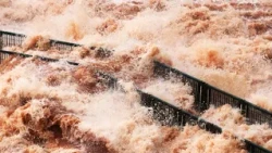 El Río Iguazú se desbordó: la impactante fuerza del agua en las Cataratas