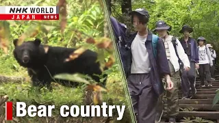 Bears and humans: Live and let liveーNHK WORLD-JAPAN NEWS