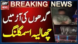 Supari Smuggling Attempt Foiled Using Donkeys