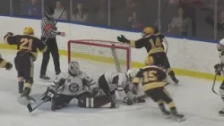 High school hockey: state quarterfinals