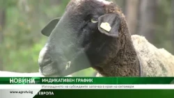 ДФЗ публикува графика за субсидиите до края на 2026 г.