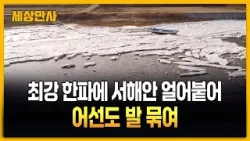최강 한파에 서해안 얼어붙어…어선도 발 묶여 [세상만사] #최강한파 #서해안 #바닷물