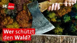 Klimaschutz jetzt: Nachhaltiger Waldschutz zur Sicherung der Zukunft | Reportage Klimaschutz jetzt: Nachhaltiger Waldschutz zur Sicherung der Zukunft | Reportage