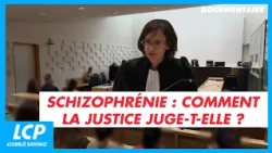 Justice Confronts Schizophrenia | Justice in France