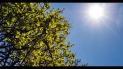 Nicaragua soportará hasta 37 grados de calor