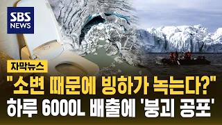 "Is Urine Melting Glaciers?" Fears of Collapse Over 6,000L Discharged Daily (Subtitled News) / SBS
