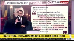 Scandal uriaș în PSD după desemnarea lui Luca Niculescu. Liderii partidului se revoltă