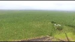 Alertan rezago en restitución de tierras en Antioquia pese a entrega de 40.000 hectáreas