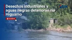 Industrial waste and sewage ravage the Higuamo River