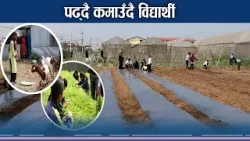 स्कुलमै तरकारी खेती, विद्यार्थीलाई सीप र आम्दानी - NEWS24 TV