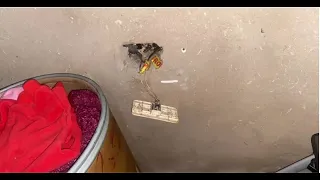 1-year-old girl dies from electrocution in San Antonio due to a forgotten outlet cover
