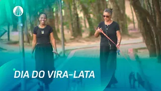 Dia do Vira-Lata reforça a importância da adoção responsável | TJ Aparecida