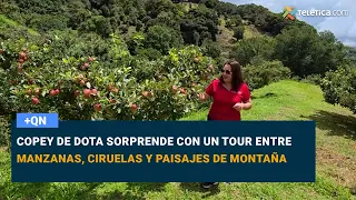 Copey de Dota surprises with a tour among apples, plums, and mountain landscapes
