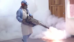Medical brigades