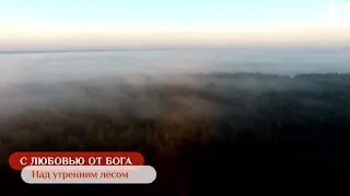 Над утренним лесом | С любовью от Бога