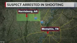 В результате стрельбы в Харрисбурге пострадал один человек и одна собака; подозреваемый задержан.
