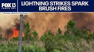 80 brush fires ignited after lightning strikes in Florida