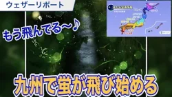 【ホタル情報】九州で蛍が飛び始める　4月の高温により早い出現に