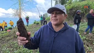 Ejido members of El Balcón carry out restoration with the effort of the entire community